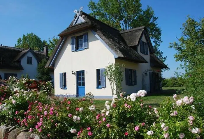 Ferienhaus Mohnblume *